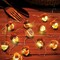 Solar Fall Acorn String Lights – 40 LED, 14ft Waterproof Outdoor Fairy Lights for Garden, Fence, Patio, Thanksgiving & Christmas Decor (colorful)